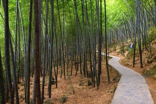 全球最有特色的五大旅游地