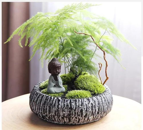 办公室装修,软装饰品如何选