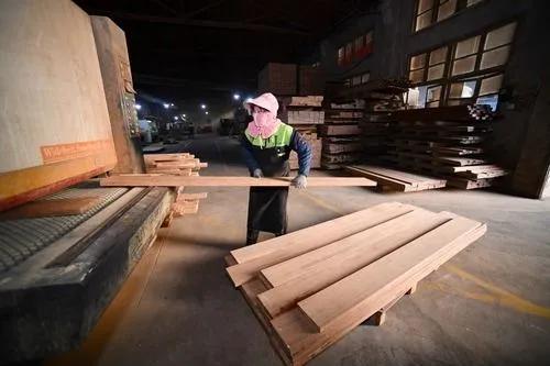 新华社 福建三明 改革护绿色 林业富乡农