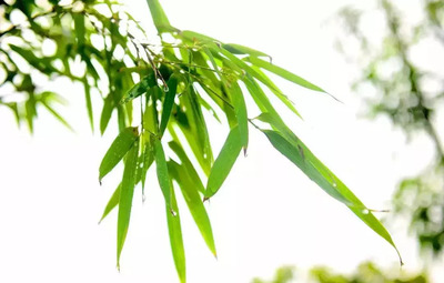 【最美巾帼农庄】咸宁这地方太美,连屈原都流连忘返