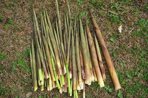 建议宝妈 在家多给孩子做5种零食,可别舍不得花钱,该吃就吃
