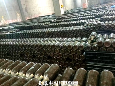 贵州美味鲜竹荪产业:复工复产抓效益