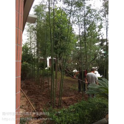价格 厂家 中国供应商