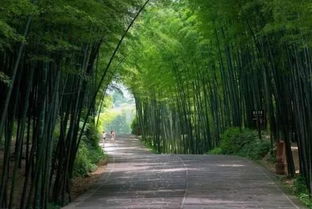 四川一处天然的避暑胜地,夏季不超过30 ,晚上还要盖被子