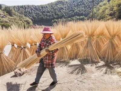 奉化做强竹产业 助力山乡振兴