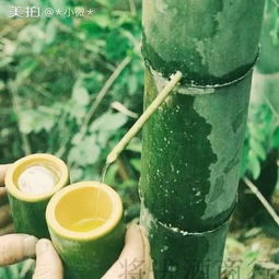 小微 的美拍