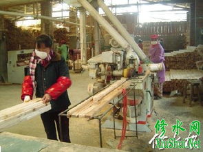 竹产业迎来生产旺季，木竹制品厂与竹种植协同发展