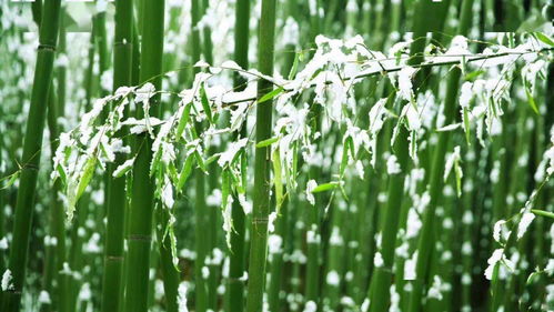 喜报丨竹泉村·红石寨景区荣获2020山东省精品旅游产业民营企业10强